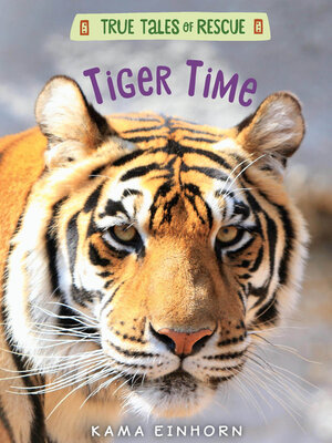 cover image of Tiger Time